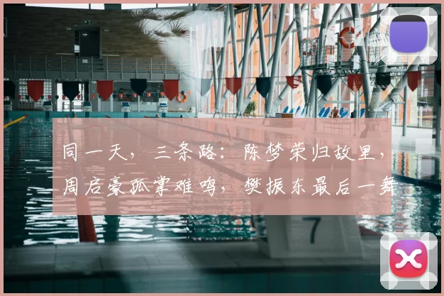 同一天，三条路：陈梦荣归故里，周启豪孤掌难鸣，樊振东最后一舞
