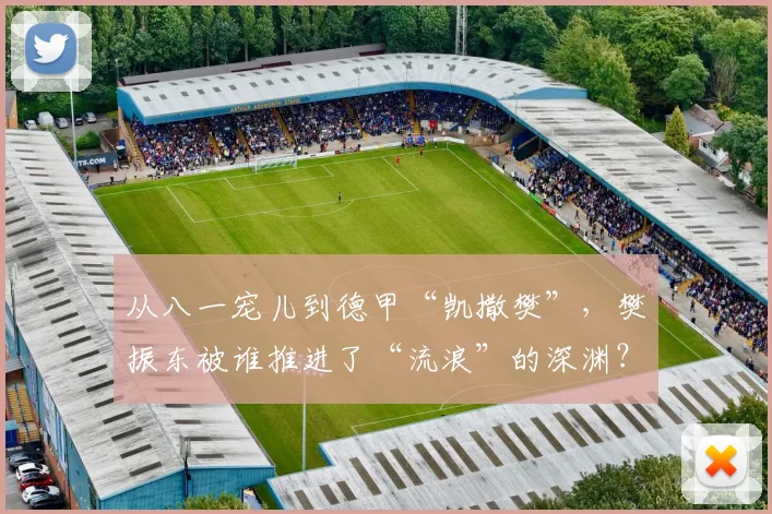 从八一宠儿到德甲“凯撒樊”，樊振东被谁推进了“流浪”的深渊？