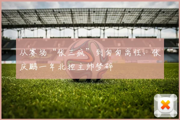 从赛场“张三疯”到匆匆离任，张庆鹏一年北控主帅梦碎