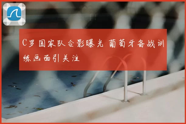 C罗国家队合影曝光 葡萄牙备战训练画面引关注