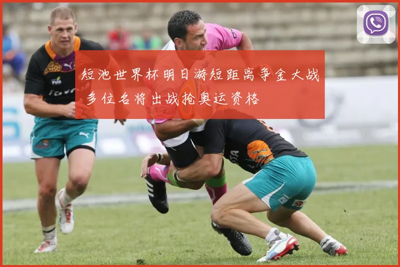 短池世界杯明日游短距离争金大战 多位名将出战抢奥运资格