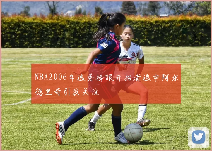 NBA2006年选秀榜眼开拓者选中阿尔德里奇引发关注