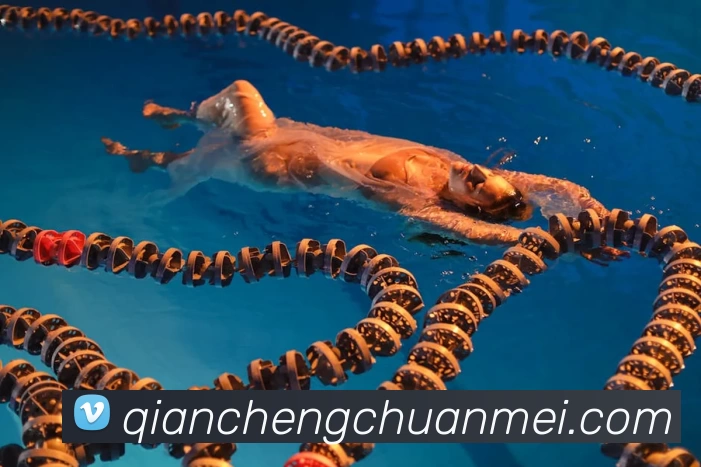 星空体育官方网页入口APP 体育赛事宣传图